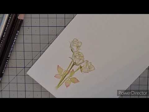Watercolour Roses painting - DIY Tutorial