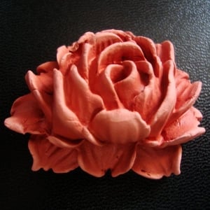 CAMOLD27-clay