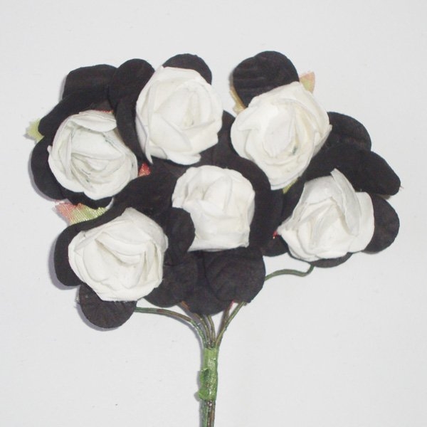 Mulberry Roses Two Toned -- Black and White
