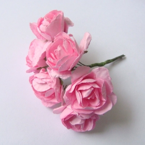 bright-pink-1