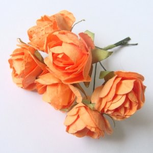 dark-orange-1