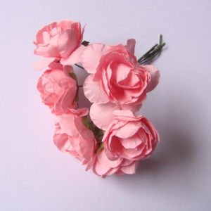 light-pink-1