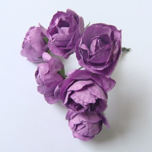 purple-1