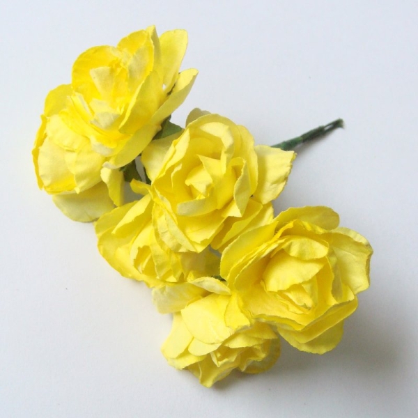 yellow-1