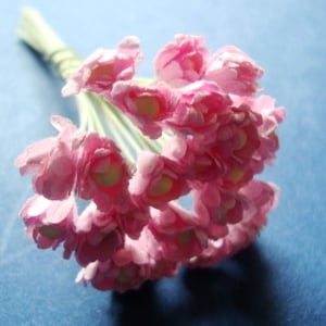 Flower Buds with pollens - Baby Pink