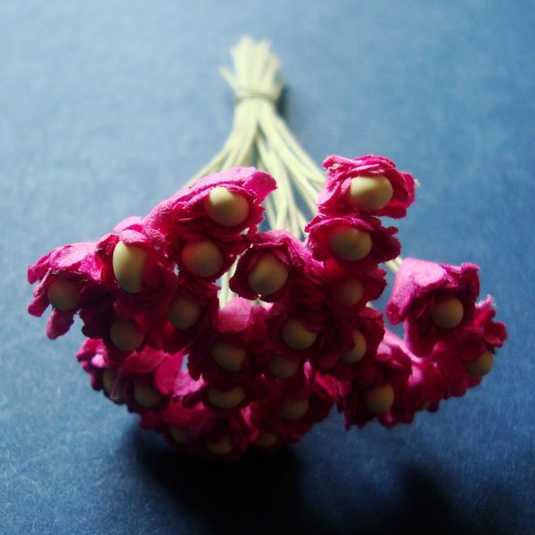 Flower Buds with pollens - Dark Pink FlowerBudsWithPollensDarkPink Flower Buds with pollens - Dark Pink