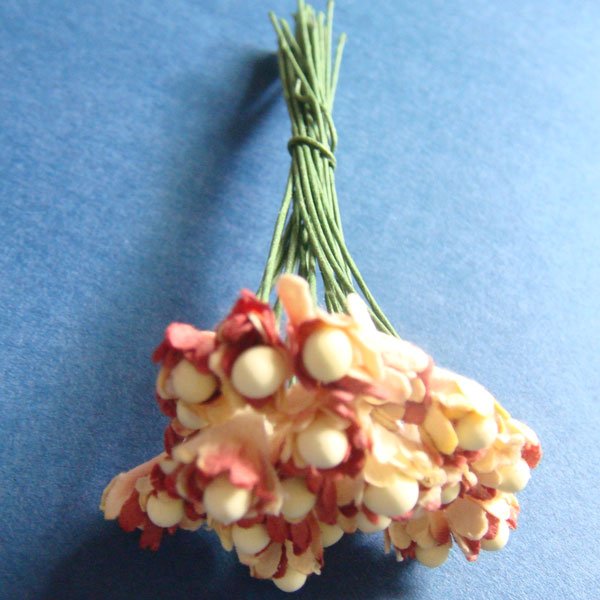 Flower Buds with pollens - Maroon and Light Brown FlowerBudsWithPollensMaroonAndLightBrown Flower Buds with pollens - Maroon and Light Brown