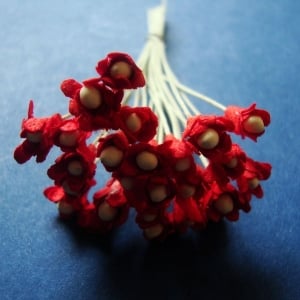 Flower Buds with pollens - Red