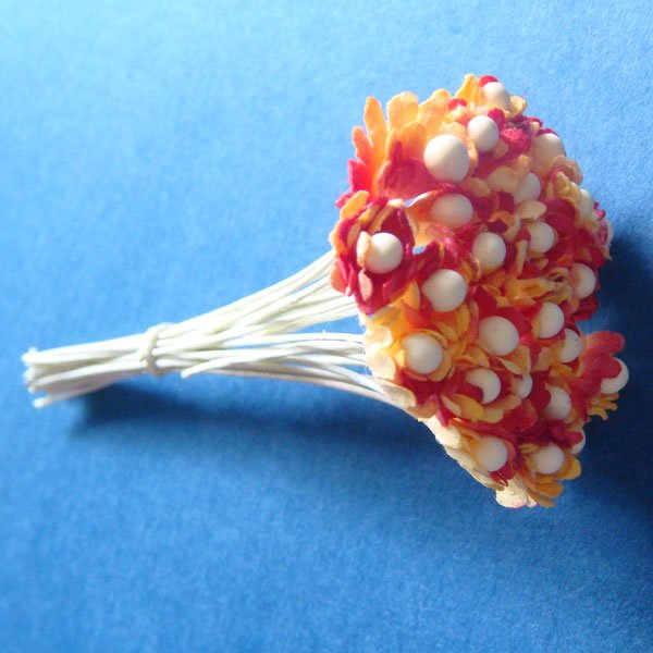 Flower Buds with pollens - Yellow and Red FlowerBudsWithPollensYellowAndRed Flower Buds with pollens - Yellow and Red