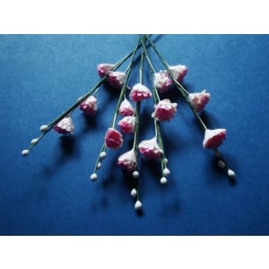 Stem with Flowers - Pink and White