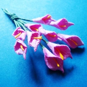 Tulip - Baby Pink