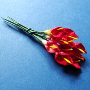 Tulip - Yellow and Red