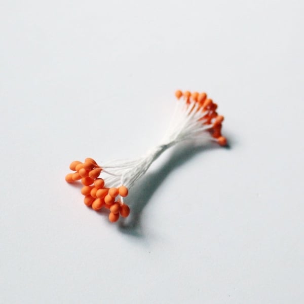 Pollens - Orange