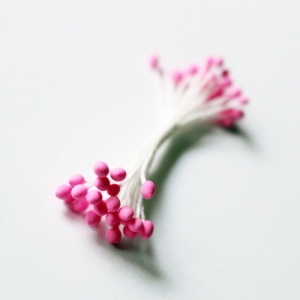 Pollens - Pink