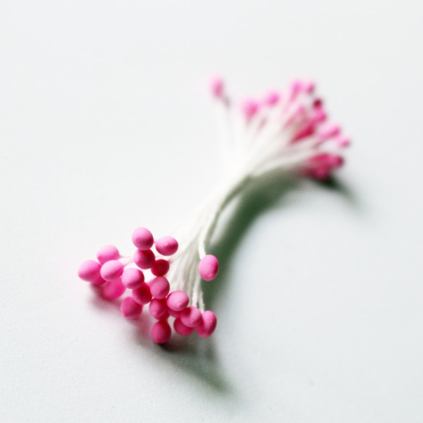 Pollens - Pink