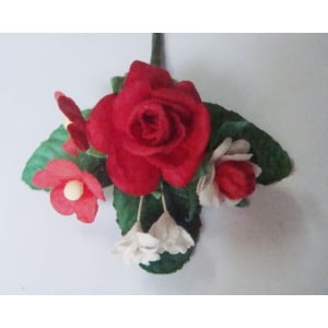 CAMR192_2