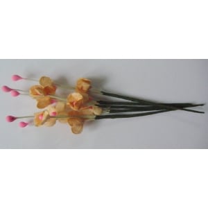 A Stem of Flowers with stamens - Orange