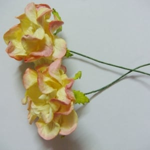 Curled Flowers (Large) - Cream and Pink