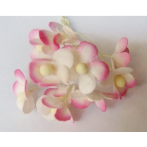 Periwinkles - Pink and White (Pack of 10 flowers)