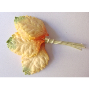 Mulberry Paper Leaves (Small) - Orange, Yellow and Green