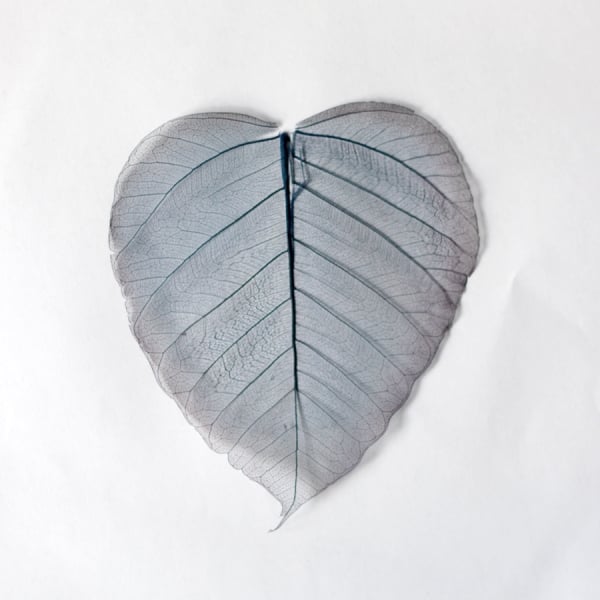 Mulberry Paper Leaves (Extra Large) - Blue (Pack of 5 leaves)