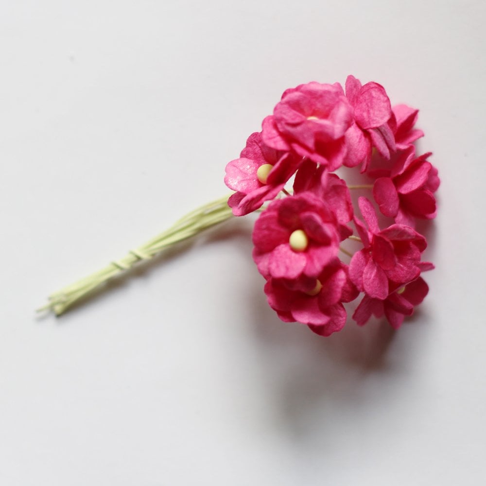 Periwinkles Flowers - Pink camr255 Periwinkles Flowers - Pink