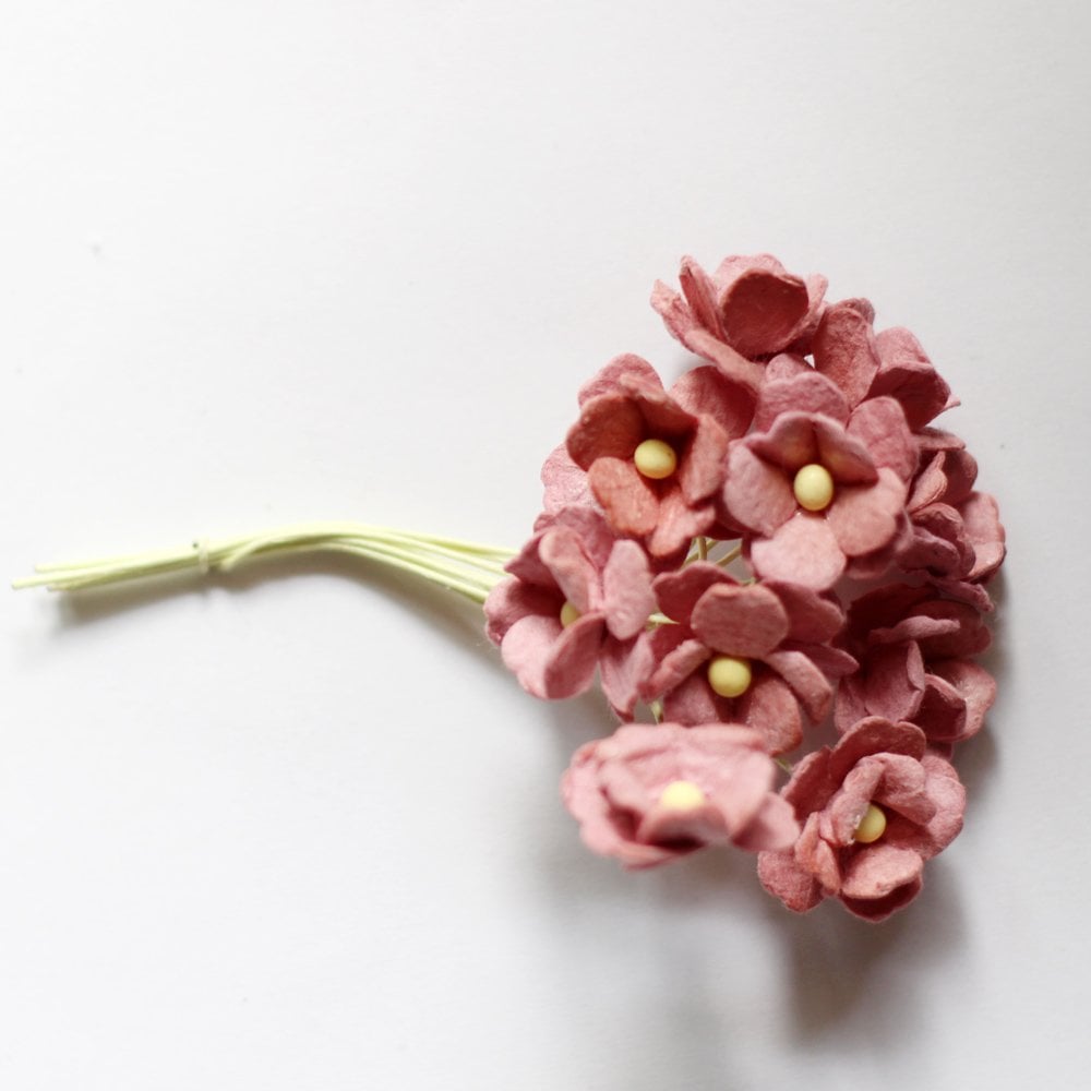 Periwinkles Flowers - Wine camr256 Periwinkles Flowers - Wine