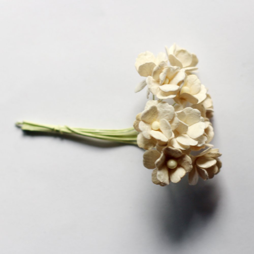 Periwinkles Flowers - Cream (Pack of 10 flowers) camr259 Periwinkles Flowers - Cream (Pack of 10 flowers)