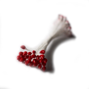 Pollens - Maroon