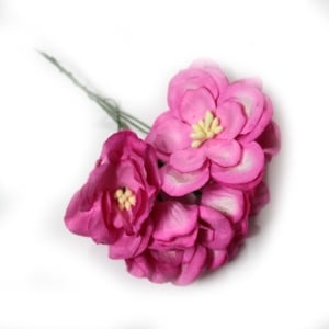 Mulberry flowers with pollens (Large) - Dark Pink (Pack of 10 flowers)