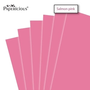 Papericious Salmon Pink cardstock (Set of 10 sheets) - 12" by 12" (250 gsm)