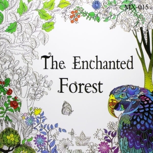 Adult colouring Book - The Enchanted Forest