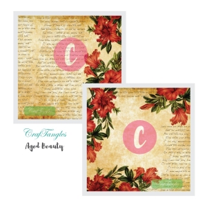 Aged-Beauty-Decoupage-Cover-12x12-1-and-2
