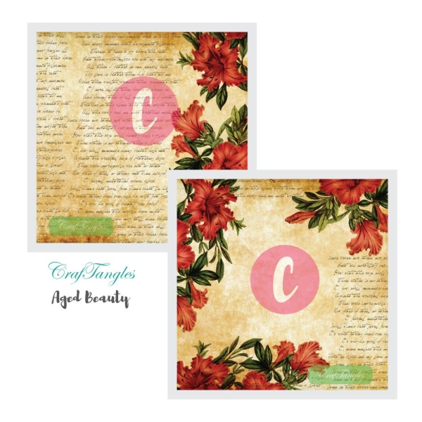 Aged-Beauty-Decoupage-Cover-12x12-1-and-2