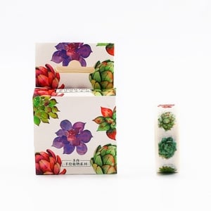 Colorful Succulents - Japanese Washi Tape