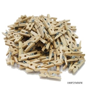 Mini Wooden Clips (100 pcs)