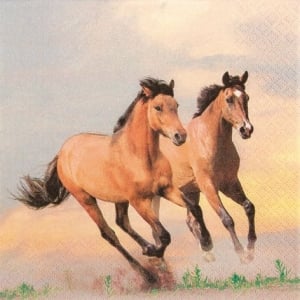 A pack of 12 by 12 inch German Decoupage Napkins ( 5 pcs ) - Wild Horses