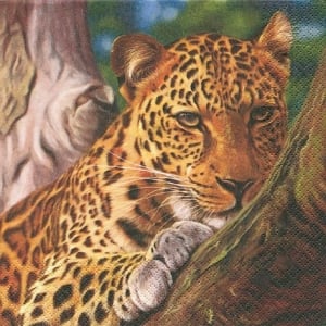 A pack of 12 by 12 inch German Decoupage Napkins ( 5 pcs ) - Leopard