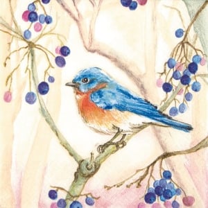 A pack of 12 by 12 inch German Decoupage Napkins ( 5 pcs ) - Bird on a Tree