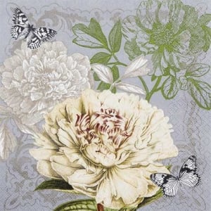 A pack of 12 by 12 inch German Decoupage Napkins ( 5 pcs ) - Vintage Peony
