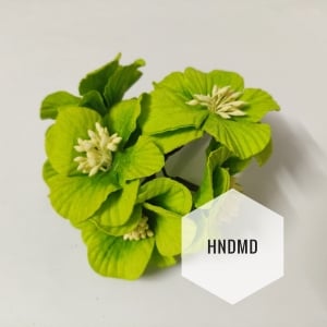 Large Mulberry Flowers - Light Green (Pack of 10) (CAMR400)