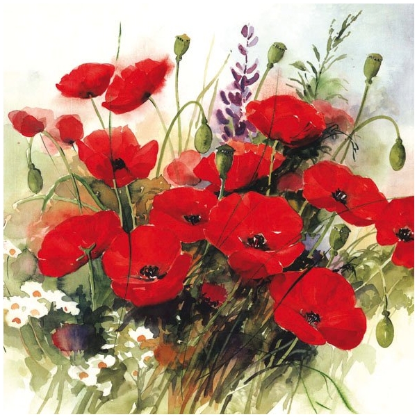 A pack of 12 by 12 inch German Decoupage Napkins (5 pcs) - Wild poppies