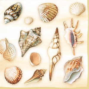 German Decoupage Napkins (5 pcs) - Shells