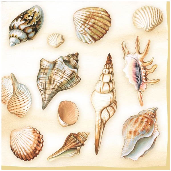 German Decoupage Napkins (5 pcs) - Shells