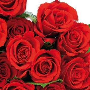 German Decoupage Napkins (5 pcs) - Red Roses