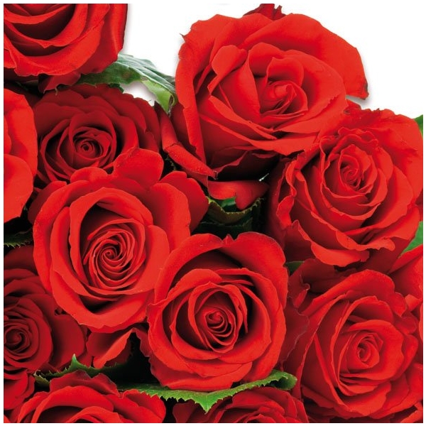 German Decoupage Napkins (5 pcs) - Red Roses