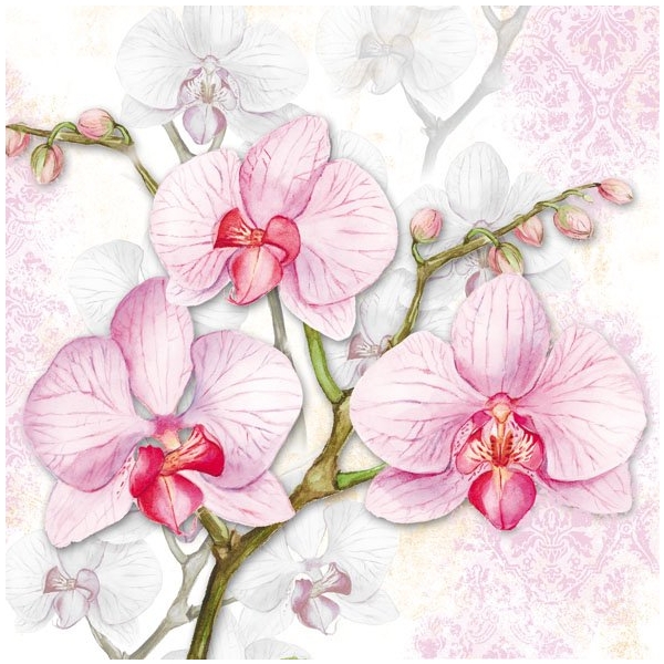 German Decoupage Napkins (5 pcs) - Liliac Orchids