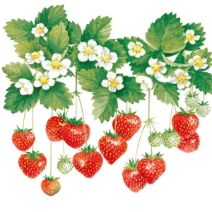German Decoupage Napkins (5 pcs) - Summer Fruits