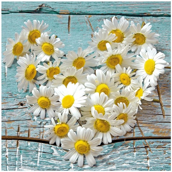German Decoupage Napkins (5 pcs) - Heart of Daisies