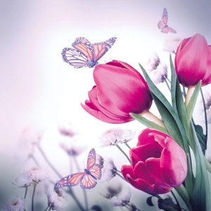 German Decoupage Napkins (5 pcs) - Butterfly and Tulips Flowers